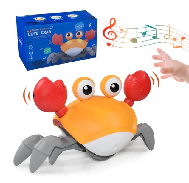 D with box