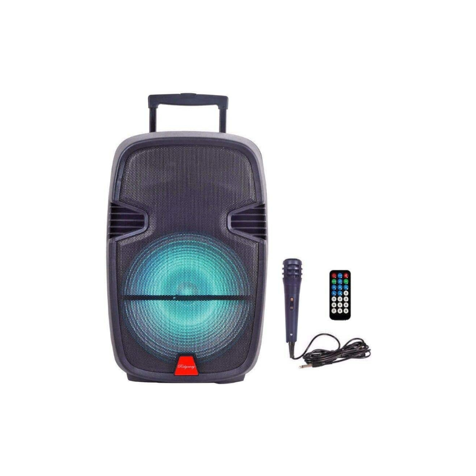 Ridgeway QS-805 Portable Audio Bluetooth