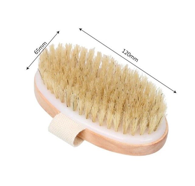 Description Picture 6 of itemWet Dry Skin Body Brush with Natural Pig Bristles - Exfoliating and Massaging Tool for Skin Cleaning, Cellulite, and Lymphatic Drainage