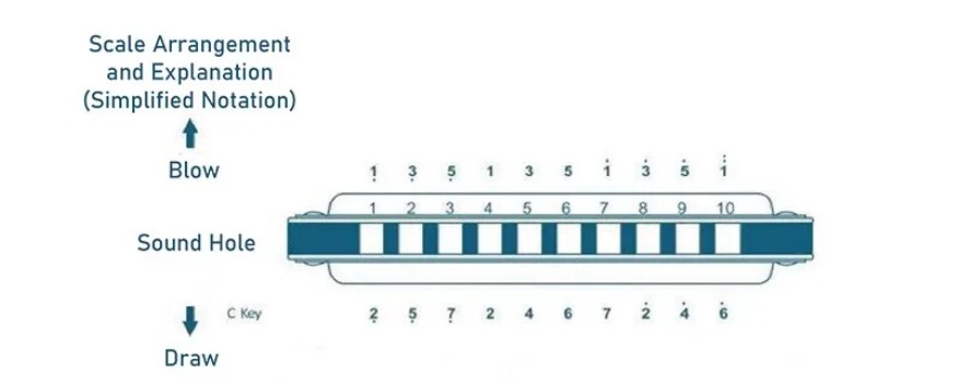 Description Picture 5 of item10 Hole Harmonica Mouth Organ - Puzzle Musical Instrument for Beginners - Gift with Copper Core and Resin Harmonica Harp