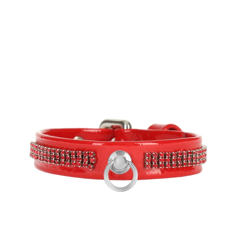 PET COLLAR vernice red