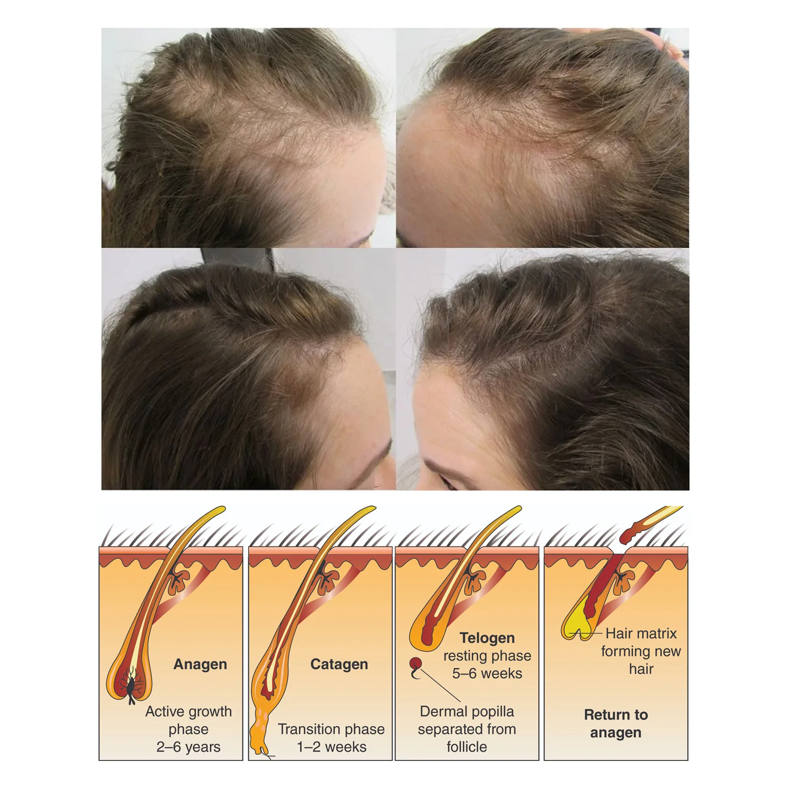 Slide image eaea1a07d51e455584dbe1a07e05e1e0