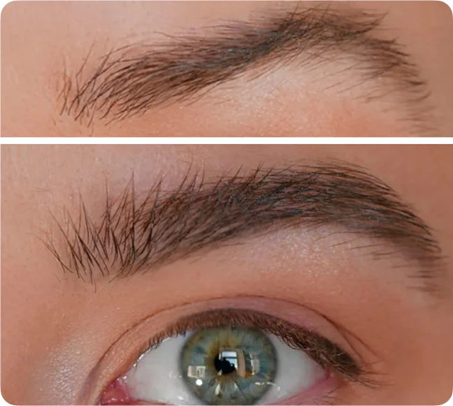 Description Picture 3 of itemToplash fix & grow brow gel